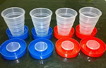 Collapsible Cup