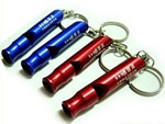 Flashlight key ring