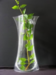 Flexible plastic vase