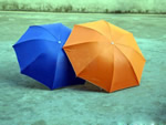 Folding umbrella