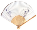 Hand Folding Fan