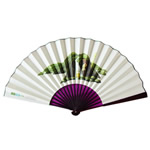 Hand Folding Fan