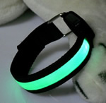 LED Arm Band