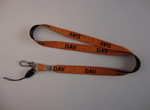 Lanyard