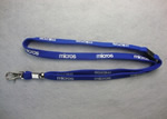 Lanyard