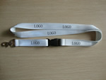 Lanyard