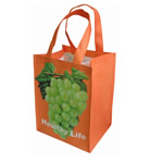 Non Woven Bag