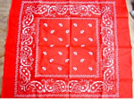 Paisley bandana