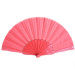 Plastic Folding Hand Fan