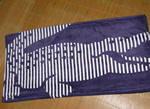 beach towel