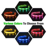 LED Dog Collar - Image 2