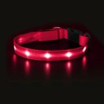 LED Dog Collar - Image 5