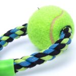 Pet chew toy  Grinding Teeth odontoprisis - Image 4