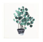 Absorbent Ceramic Coaster - Image 4