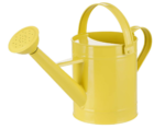 metal watering cans