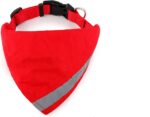 Reflective Pet Bandana - Image 4