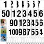 Running Bib Numbers with Safety Pins