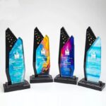 Enterprise Curve Award - Mediun