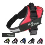 Nylon Dog Vest Harness - Image 5