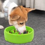 Dog Portable Travel Bowls - Image 2