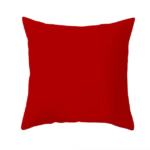 Cotton Canvas Pillow Cover - Image 3