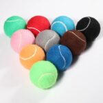 Pet Fetch Toy Tennis Ball - Image 2