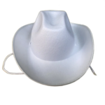 Felt Cowboy Hat - Image 4