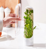 Herb & Vegetable Crisper - Image 2