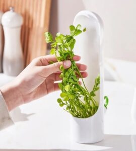 Herb & Vegetable Crisper - Image 5