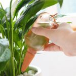 Flower Watering Device Automatic Bird Dripper - Image 3