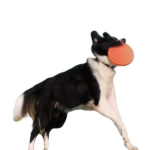 Custom Pet Soft Flyer Chewproof Floating Dog Toy - Image 5
