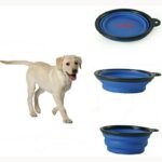 Portable Pet Bowl - Image 2